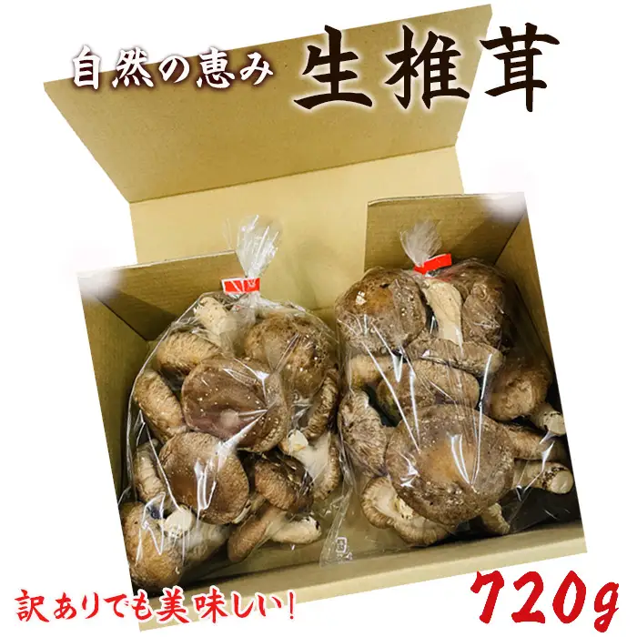 訳ありでも美味しい！自然の恵み生椎茸720g No.467