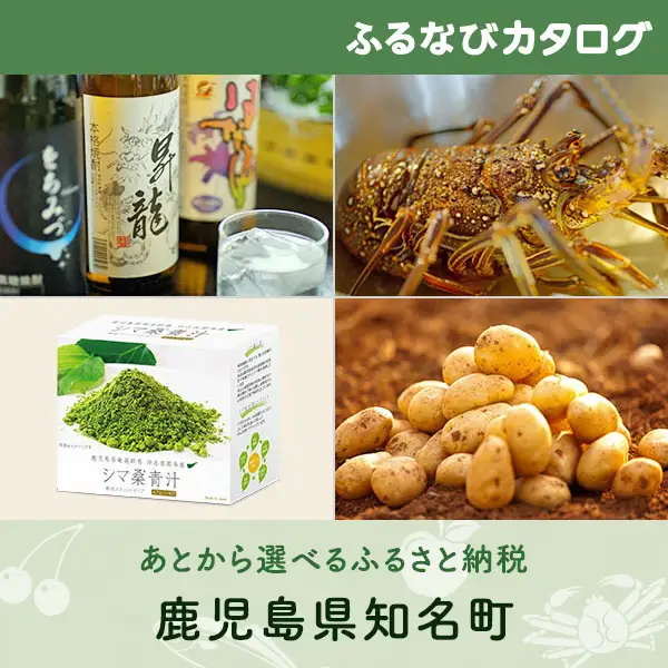 【有効期限なし！後からゆっくり特産品を選べる】鹿児島県知名町カタログポイント