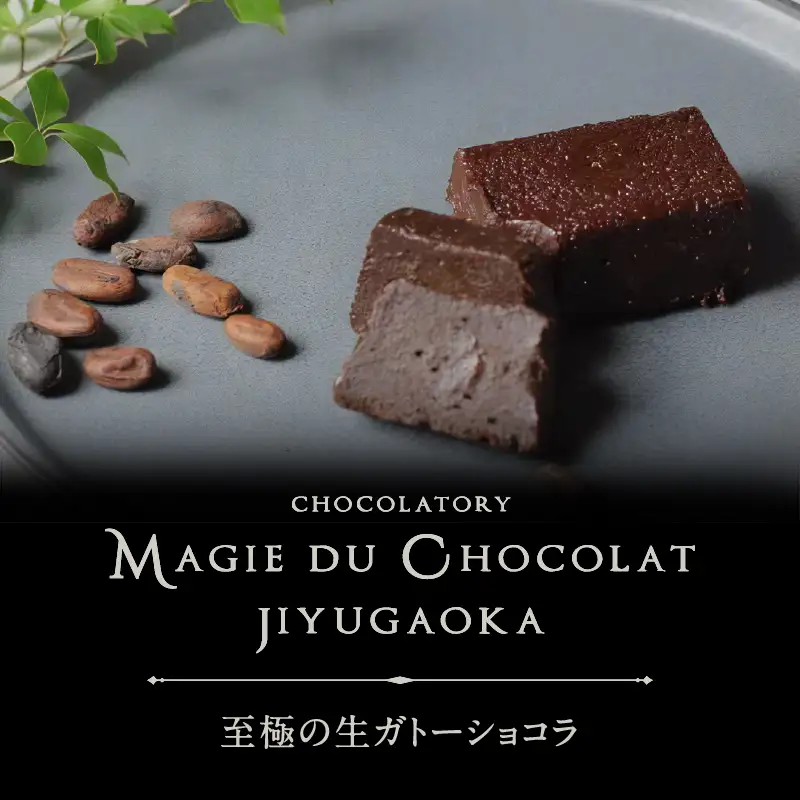 チョコレート専門店「MAGIE DU CHOCOLAT」至極の生ガトーショコラ【スイーツ チョコレート チョコレート菓子 焼き菓子 ガトーショコラ 生ガトーショコラ 濃厚 とろける 人気 おすすめ ギフト プレゼント 贈り物 ご褒美 贅沢】_0010-003-se4