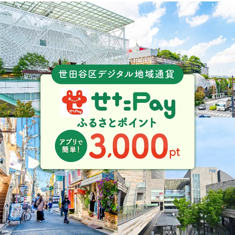 世田谷区 地域通貨 せたがやPay ふるさとポイント 3,000pt（1pt＝1円）/ せたぺい 東京 宿泊 レストラン 東京都_0018-003-se4