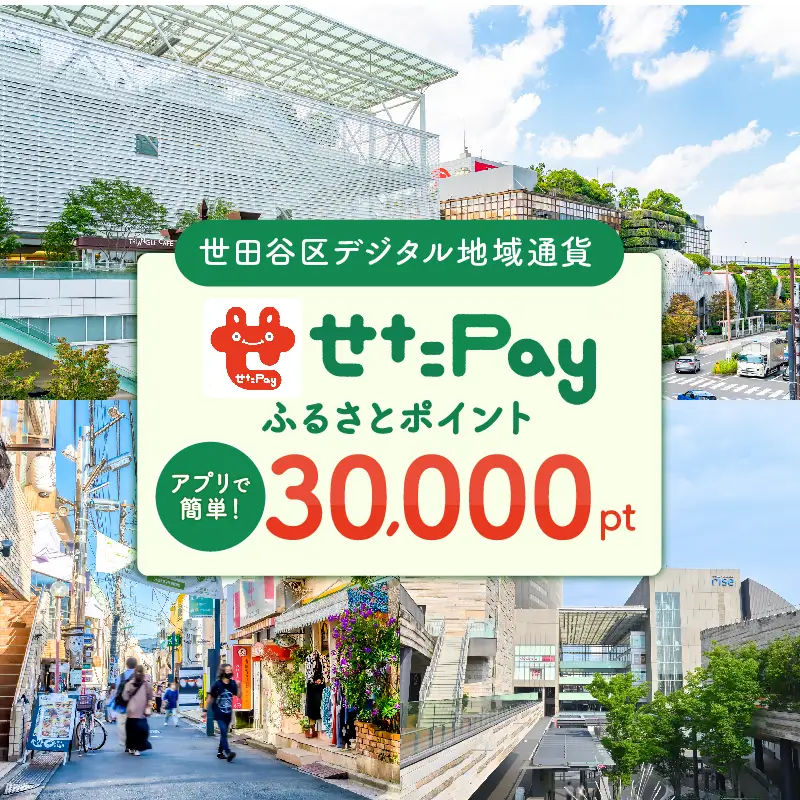世田谷区 地域通貨 せたがやPay ふるさとポイント 30,000pt（1pt＝1円）/ せたぺい 東京 宿泊 レストラン 東京都_0018-007-se4