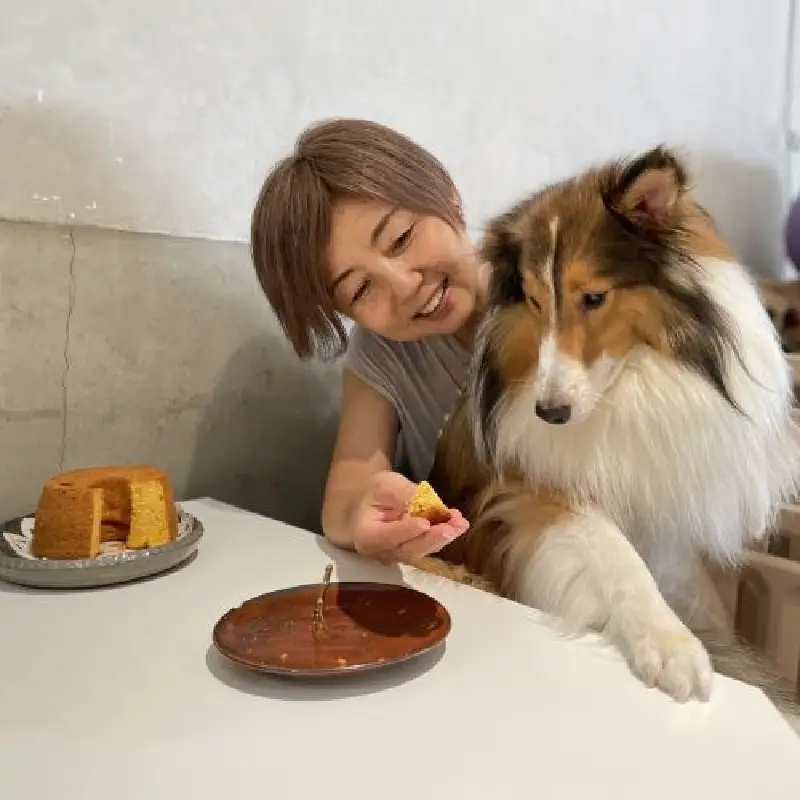 無為自然　一期一会・M（飼い主と愛犬がシェアして食べる米粉シフォンケーキ、ブルーベリーパウンドケーキ（注）＆スペシャルティコーヒー「焙煎豆（中挽き）」セット）【世田谷みやげ】コーヒー ケーキ セット デザート 米粉 グルテンフリー シフォンケーキ パウンドケーキ シェア 犬 愛犬 焙煎豆 中挽き 手作り ギフト プレゼント おやつ ティータイム 贈り物_0054-002-se5