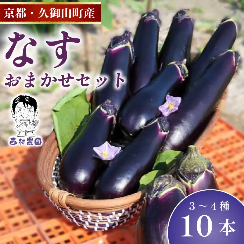 なす 4種類 おまかせ 10本（水なす・フルーツなす・千両なす・ふわとろ長なす）ナス 京都