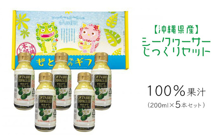 シークヮーサー　じっくりセット 