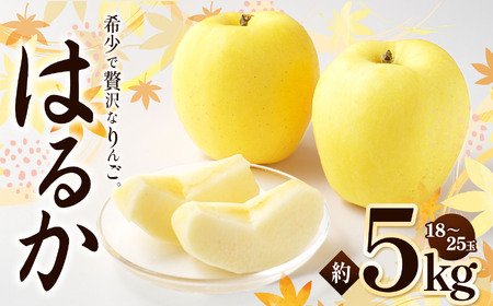 【2026年先行予約】はるか 約5kg ｜浅野農園