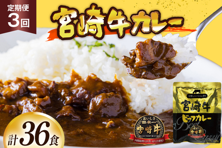 カレー 3回 定期便 レトルト 宮崎牛カレー 160g 12袋 総計36袋 [九州産商 宮崎県 日向市 452061182]