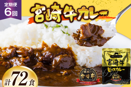 カレー 6回 定期便 レトルト 宮崎牛カレー 160g 12袋 総計72袋 [九州産商 宮崎県 日向市 452061183]