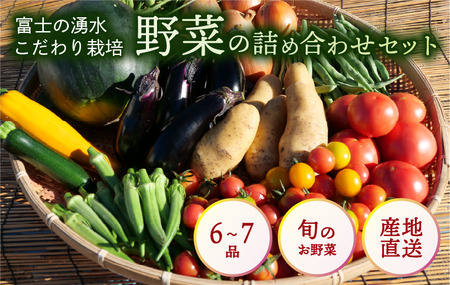 やさい 6から7品 セット 沼津市 やさい