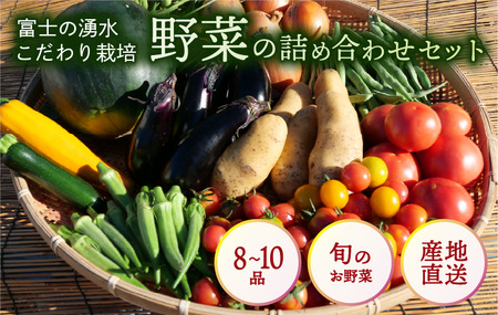 やさい 8から10品 セット 沼津市 やさい