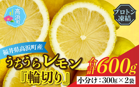 国産うちうらレモン 輪切り 小分け【急速冷凍】（プロトン凍結）ビタミン補給 健康維持 