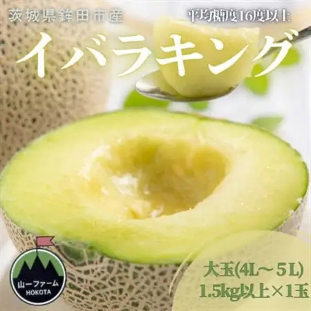 【先行受付】令和8年5月順次発送 茨城県オリジナル品種!! イバラキング 4L～5L・1玉 数量限定_イバラキング 先行受付 メロン_【配送不可地域：離島・沖縄県】【1590733】