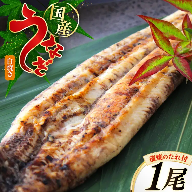 うなぎ 鰻 白焼き 1尾 たれ付き [オーチャンズ 宮崎県 美郷町 31bn0004]