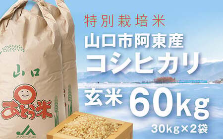 A096 特別栽培米阿東産コシヒカリ玄米60kg