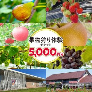 旬の果物摘み取り体験チケット　1回5,000円分　【チケット 券 人気 おすすめ 】
