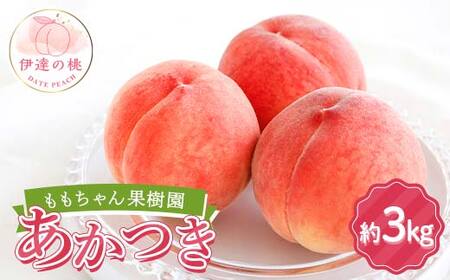 【2026年出荷分先行予約】福島県産 あかつき 約3kg (7～12玉) ももちゃん果樹園 自慢の桃 伊達の桃 桃 フルーツ 果物 もも モモ momo F21C-042