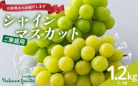 ≪2026年先行予約≫【仲野観光果樹園】ご家庭用 山形県産 シャインマスカット 1.2kg(2～3房) 種無し ぶどう 2026年9月上旬から順次発送 F2Y-6144
