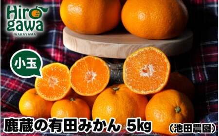 鹿蔵の 有田 みかん 訳あり 小玉 5kg 光センサー 選果 / 温州みかん 有田みかん 甘い 家庭用 和歌山 柑橘 ※2026年11月順次発送予定 ※北海道・沖縄・離島への配送不可 【ikd004-cs-5-novD】