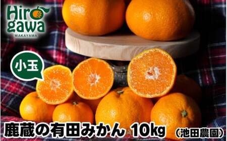 鹿蔵の 有田 みかん 訳あり 小玉 10kg 光センサー 選果 / 温州みかん 有田みかん 甘い 家庭用 和歌山 柑橘 ※2026年11月順次発送予定 ※北海道・沖縄・離島への配送不可 【ikd004-cs-10-novD】