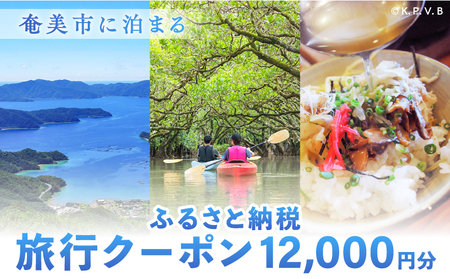 奄美市 に 泊まる ふるさと納税 旅行 クーポン【 12,000円 分 】 A184-004 割引券 ツアー 電子クーポン