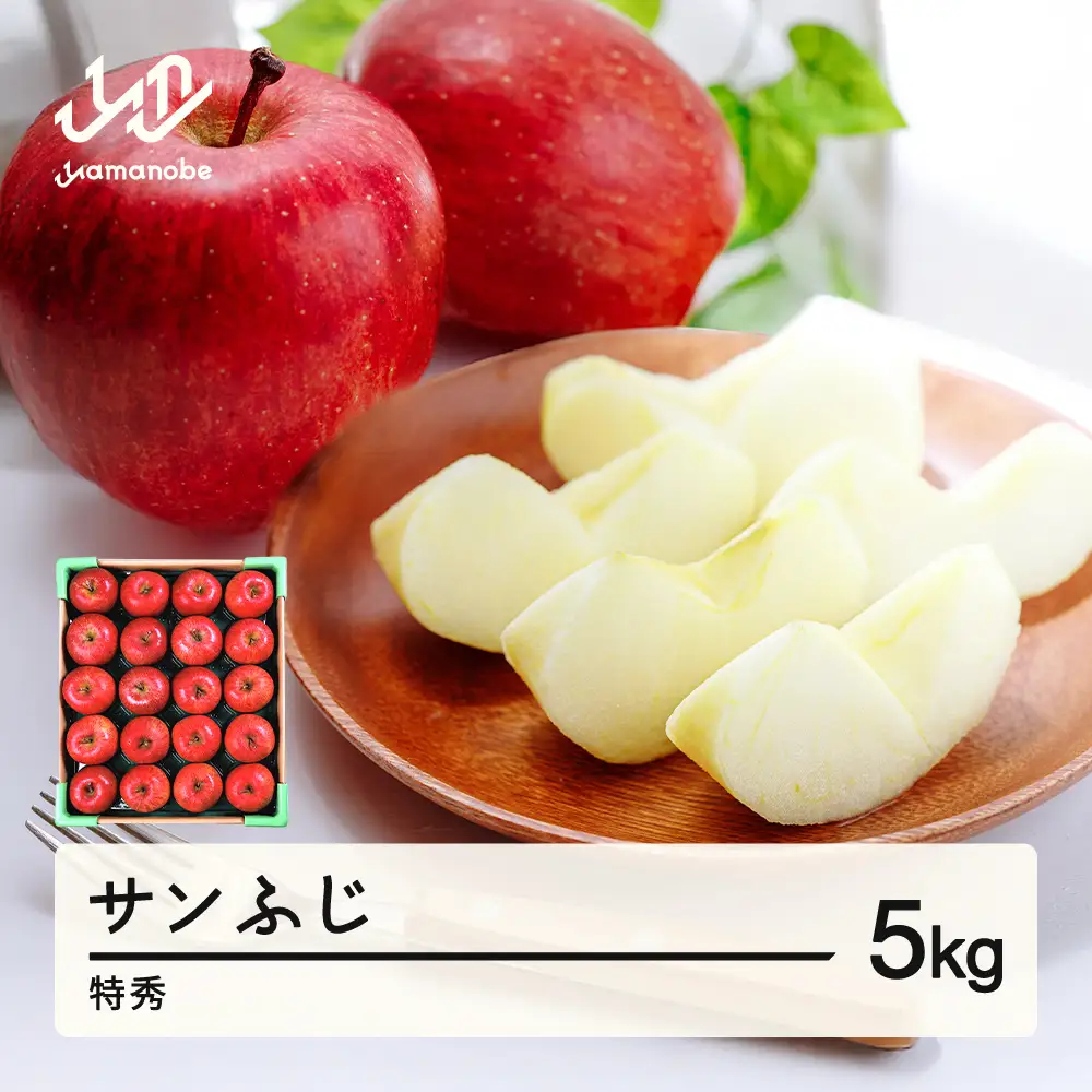 【先行予約】りんご サンふじ 約5kg 特秀品 リンゴ 林檎 令和8年産 2026年産 果物 山形県産 mm-risft5