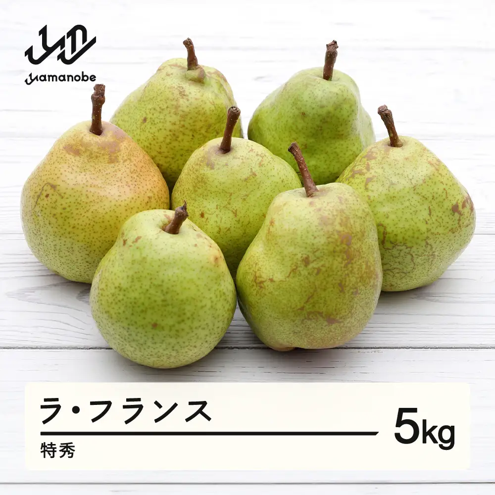 【先行予約】ラ・フランス 洋梨 ラフランス 約5kg 特秀品 贈答 令和8年産 2026年産 果物 mm-latsx5
