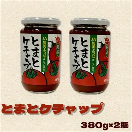 とまとケチャップ　380g×2個　宮城県　色麻町【配送不可地域：離島・沖縄県】【1593056】