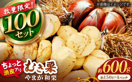 先行予約やまが和栗大粒むき栗渋皮付 約600g(約150g×4pc)ZES002