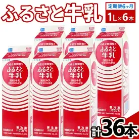【定期便6ヶ月】ふるさと牛乳1L 6本セット 計36本 | 牛乳 _DT11