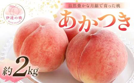 【2026年出荷分先行予約】福島県産 あかつき 約2kg (6～8玉) 森果樹園 自然豊かな月舘で育った桃 伊達の桃 桃 フルーツ 果物 もも モモ momo F21C-052
