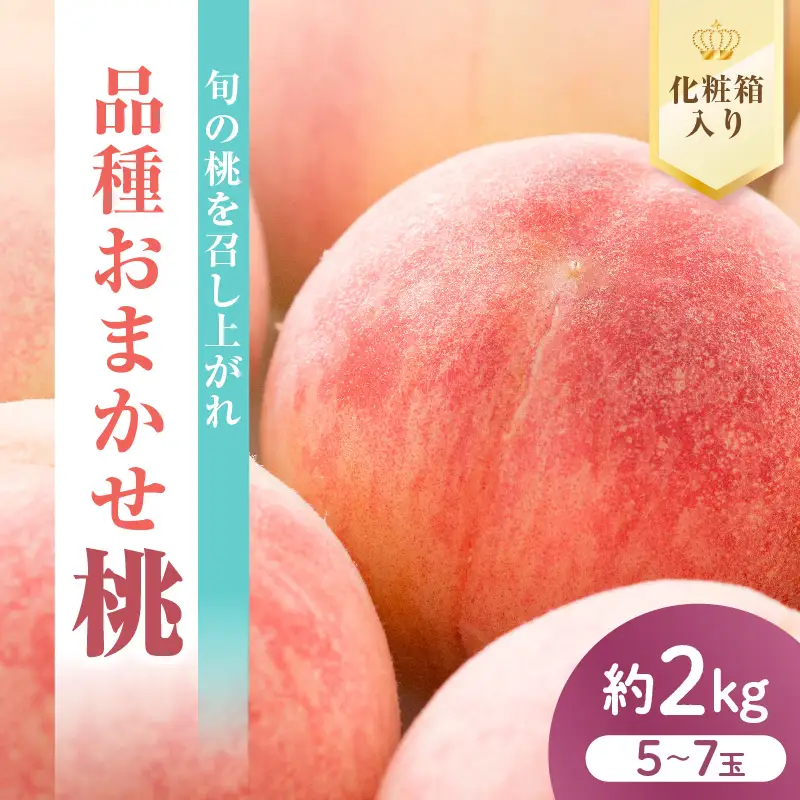 先行予約 数量限定 令和8年産 もも 約2kg 品種 おまかせ 桃