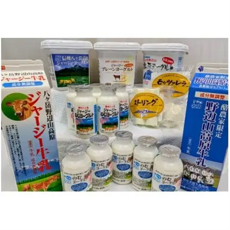 【ヤツレン】信州から牛乳を使った製品セット(牛乳、ヨーグルトなど)【配送不可地域：離島】【1079780】