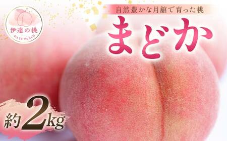 【2026年出荷分先行予約】福島県産 まどか 約2kg (6～8玉) 森果樹園 自然豊かな月舘で育った桃 伊達の桃 桃 フルーツ 果物 もも モモ momo F21C-054