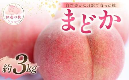 【2026年出荷分先行予約】福島県産 まどか 約3kg (8～12玉) 森果樹園 自然豊かな月舘で育った桃 伊達の桃 桃 フルーツ 果物 もも モモ momo F21C-055