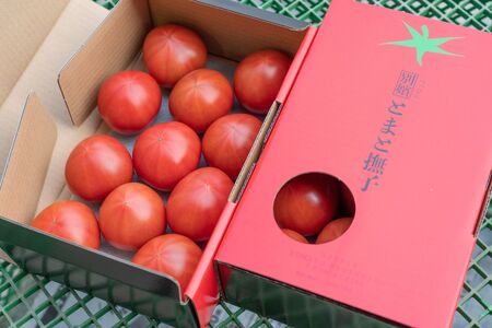 【予約商品】アグライズ 別嬪とまと撫子 約2kg（約1kg箱×2）【配送時期：2月～3月】