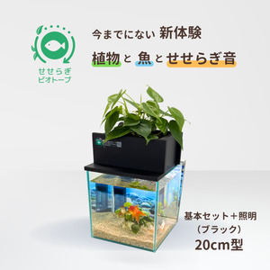 せせらぎビオトープ　20cm型基本＋照明セット