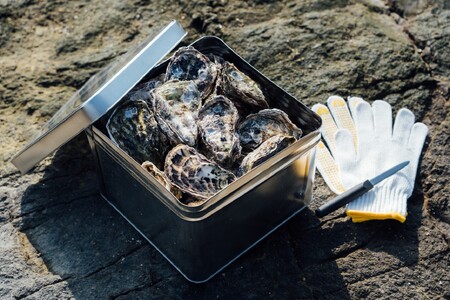 【予約商品】牡蠣　広島　カンカン焼き（30個入）　矢野水産【配送不可：離島】【配送時期：2027年1月上旬～2027年4月上旬】