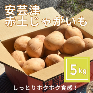 【予約商品】安芸津　赤土じゃがいも　５kg【配送時期：6月下旬～８月下旬／11月下旬～1月上旬】