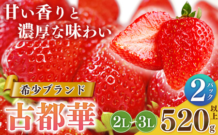 【先行予約】平群 の 古都華 2L 〜 3L サイズ 2パック 扇田農園 | フルーツ いちご 古都華 奈良県 平群町
