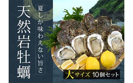 《先行予約 2026年度発送》庄内浜 天然岩牡蠣 大サイズ 10個 牡蠣剥き用ナイフ付き FSY-2101