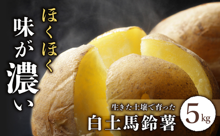 【先行受付2026年発送】長野県産新じゃがいも 生きた土壌で育った『白土馬鈴薯5kg』｜里山JAPAN※2026年8月上旬以降発送予定
