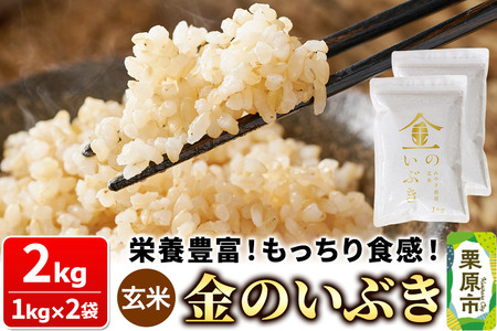 米【玄米】金のいぶき 2kg（1kg×2袋）