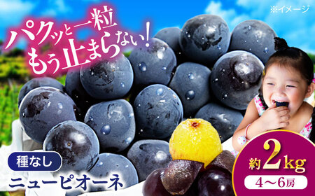 ぶどう【先行予約】【2026年8月中旬から順次発送】ニューピオーネ 2kg（4から6房） ぶどう[AGDB001]