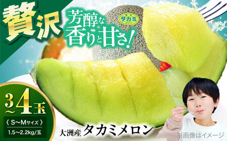 メロン【6月下旬から順次発送】 タカミ メロン S～Mサイズ 3～4玉入り（1.5kg～2.2kg) メロン[AGDG002]