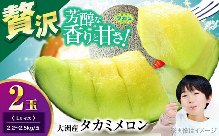 メロン【6月下旬から順次発送】 タカミ メロン Lサイズ 2玉入り（2.2kg～2.5kg) メロン[AGDG003]