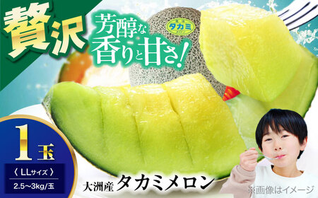 メロン【6月下旬から順次発送】 タカミ メロン LLサイズ 1玉入り（2.5kg～3kg以下) メロン[AGDG004]