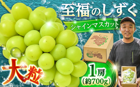 シャインマスカット 約700g 至福のしずく シャインマスカット[AREJ001]