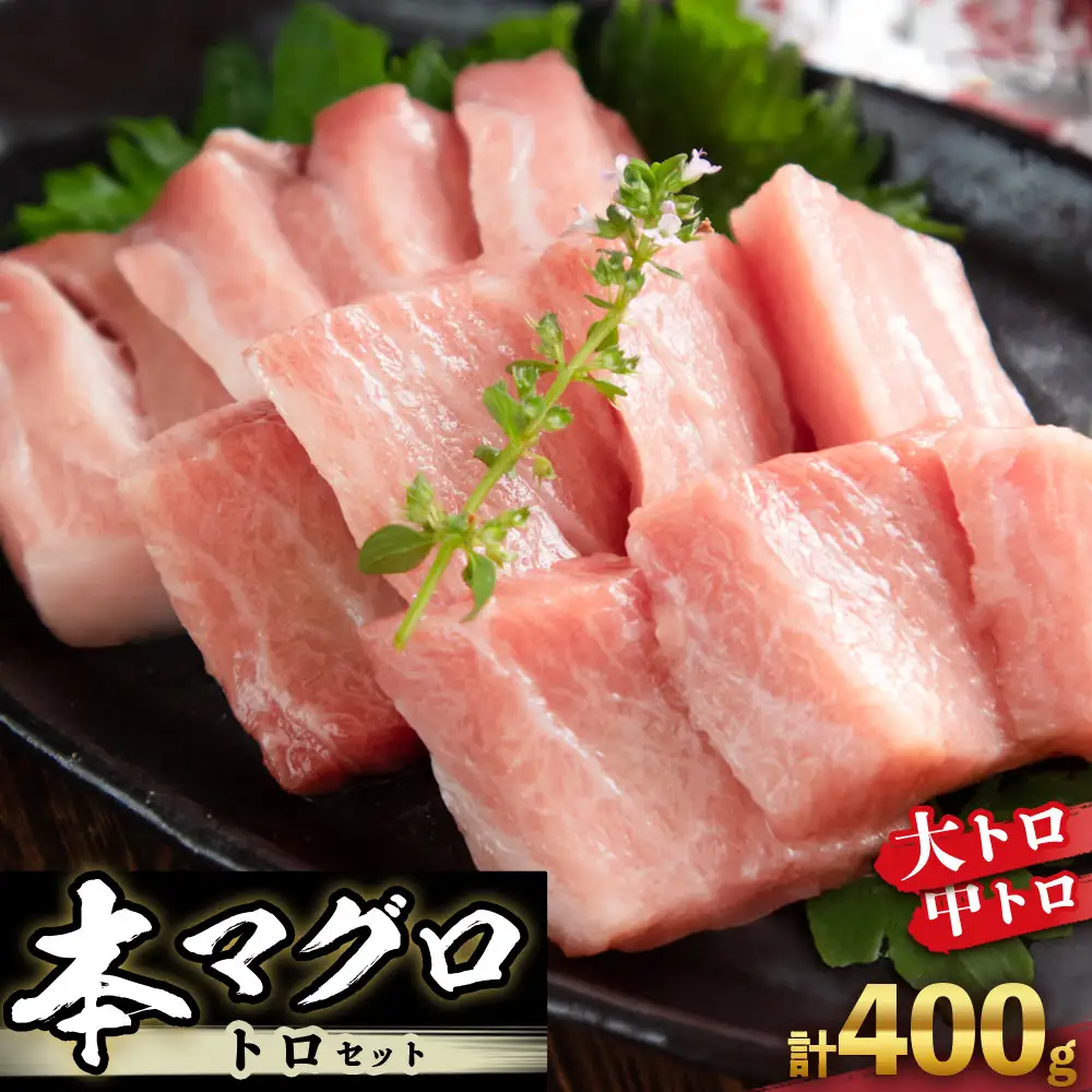 本マグロ トロセット 400g | 大トロ 中トロ 鮪 刺身 寿司