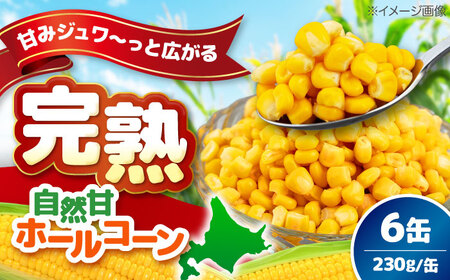自然甘 ホールコーン 6缶【きもべつ観光協会】 缶詰 瓶詰 加工品 とうもろこし 北海道 常温配送 [AJAG020]