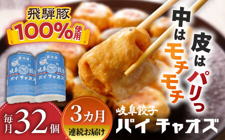餃子 【3回定期便】 岐阜餃子32個入り [ANEY006] 餃子