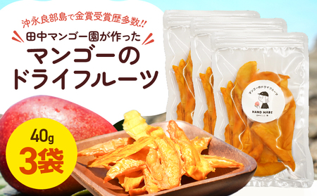 【先行受付】田中 マンゴー園 が作った マンゴー の ドライフルーツ 40g×3袋 W001-013-03 果物
